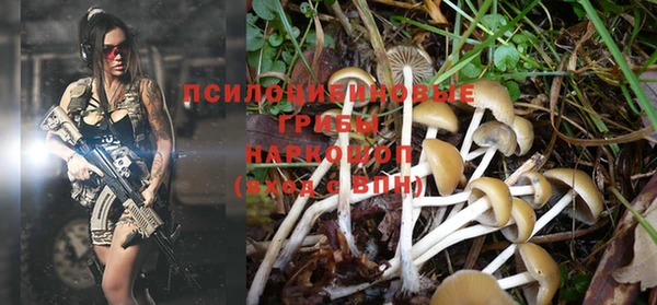 мяу мяу кристалл Бородино