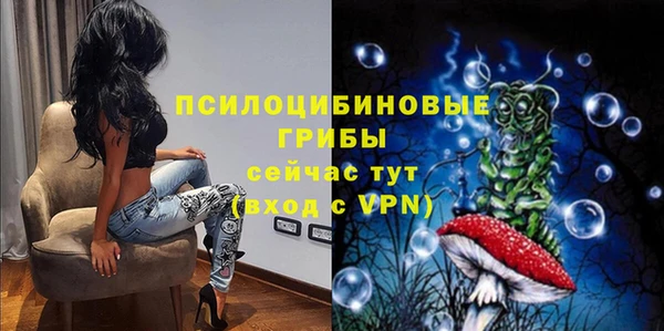 винт Бронницы
