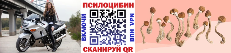 Галлюциногенные грибы ЛСД  Купить  Белый 